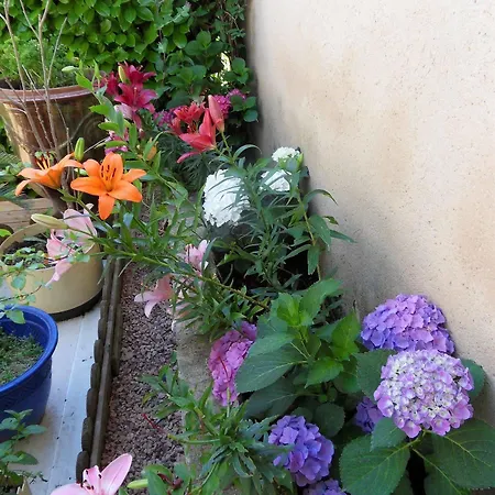 Le Jardin D'ivana D'hotes Avec Piscine Chauffee Bed & Breakfast